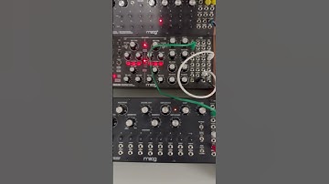 Moog DFAM Sub Harmonicon Spectravox #semimodular #electronicmusic #synthjam