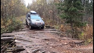 В поисках медведя часть 2.