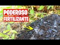 ¡Este Fertilizante es ORO NEGRO! Abono Casero Fácil de Hacer | La Huerta de Ivan