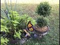 Small  Garden Stroll.