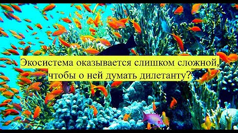 Почему экосистема Сбербанка — не экосистема