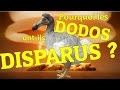 ETH - Pourquoi les Dodos ont-ils Disparus ?
