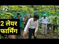 [2] Two Layering farming |बरसात में खेती करने के लिए बेस्ट मॉडल।Multilayer farming| Akash Chourasiya