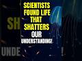 Scientists Found Life That Shatters Our Understanding!