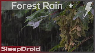 ► Forest Rain and Thunder Sounds for Sleeping ~Relaxing Rain Sounds (Lluvia) Chuva Dormir 10 hours