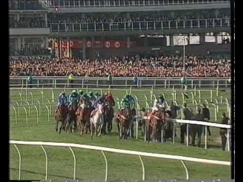 Cool Dawn - 1998 Gold Cup