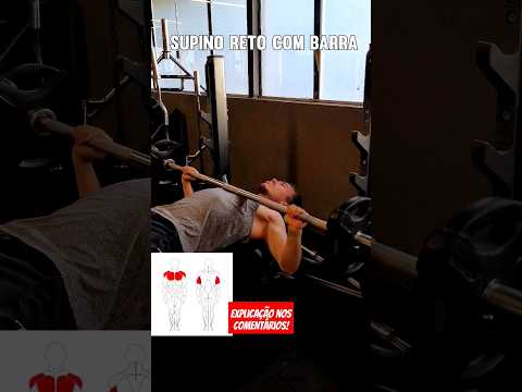 Supino Reto com Barra #shorts