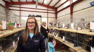2024 CVPA Poultry Show and Swap Meet