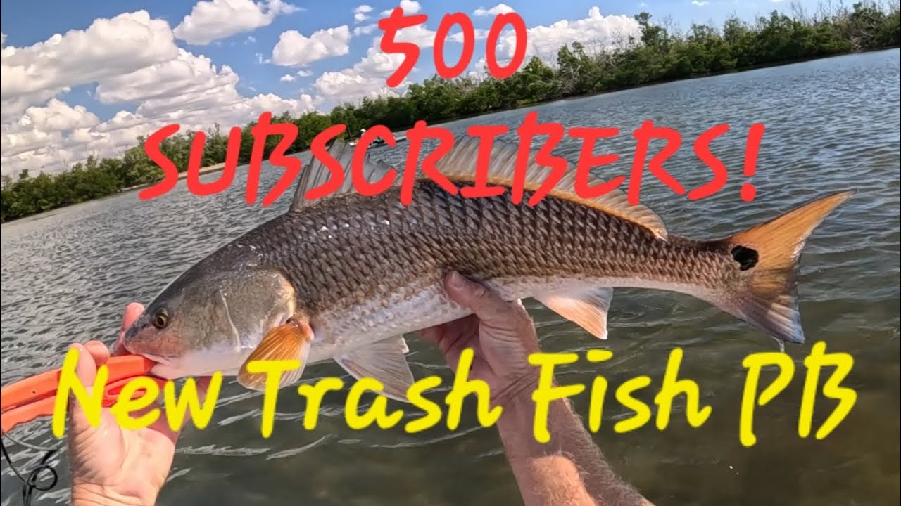 [Slam] 500 подписчиков Новая рыбалка на мелкую рыбу PB Красный окунь Снук Рыбалка на байдарке Hob...