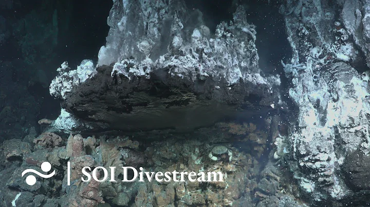 Iguanas Hydrothermal Vent Field | SOI Divestream 576 PART 2