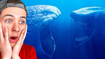 The BLOOP vs THE WORLD