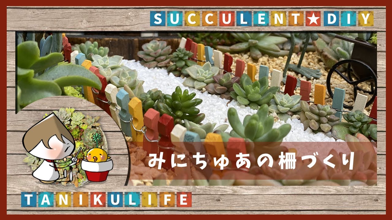 【多肉植物】100均アイテムで箱庭用ミニチュアの柵作ったん【succulent】