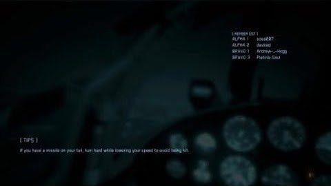 Ace Combat 7 Multiplayer Team Deathmatch My Best Performance Kills {FULL LOBBY}