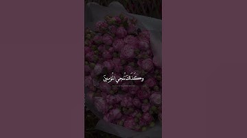 {فَاسْتَجَبْنَا لَهُ وَنَجَّيْنَاهُ مِنَ الْغَمِّ ۚ} [الأنبياء : 88] القارئ شريف مصطفى