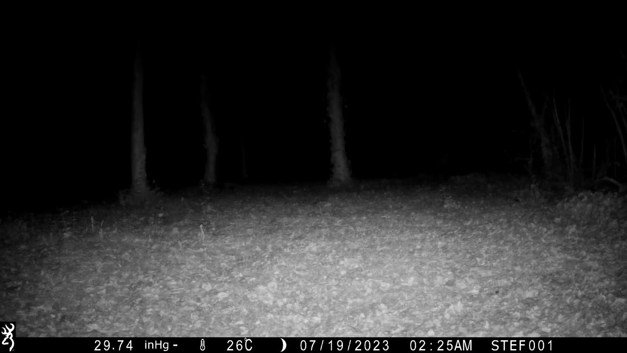 TASSO - 19/07/2023 - 02:24