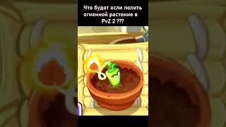 Что будет если полить огненное растение в Plants vs Zombies 2  #shorts #short #share #Shorts