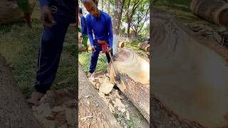 An environmentally friendly and great technique for sizing wood with an axe.#viral #shorts