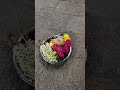 இன்று சனிக்கிழமை பிர தோஷம் சிவனின் தரிசனம்