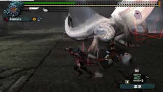 MHF　ルーツ狩猟笛ソロ2010053002