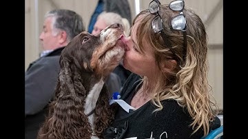 Rafferty - Sh Ch Peasblossom Jester