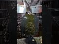 #KokilaDham #Vrindavan #MandirDarshan #RadheRadhe #KrishnaBhakti #SpiritualVlog #TempleVlog #