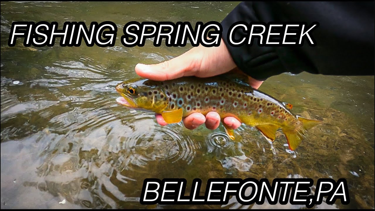 Fishing Spring Creek PA for Wild Browns ! (Fishermen's Paradise