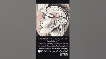 الناصية❗️ #الحديث_النبوي #الله #تلاوة #قرآن #عمر_الدريويز @OmarAlDarweez