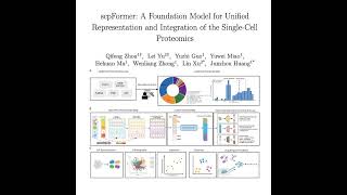 1022-scpFormer: Foundation Model for Single-Cell Proteomics
