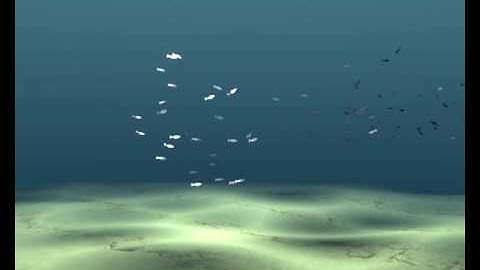 UnderWater Particle Test using Boids
