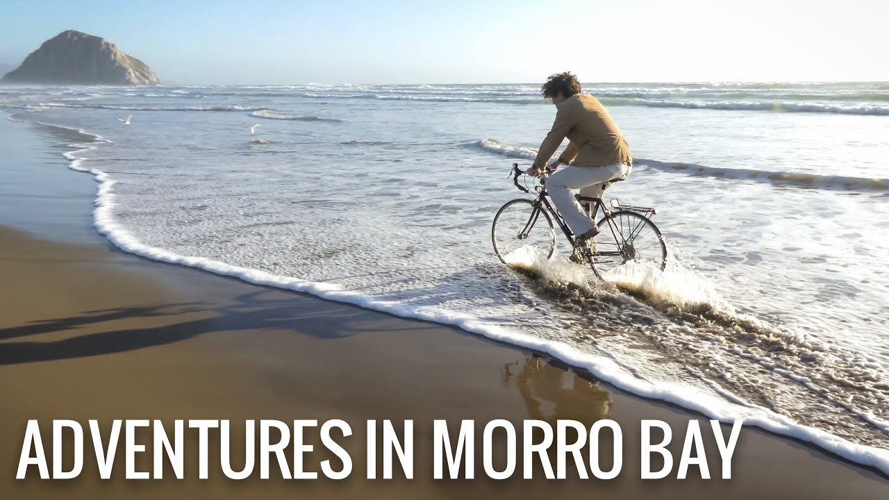 [RV Life & Travel] The Beauty of Morro Bay, CA || Sea Life, Cliffs, Beach Biking & More [Ep139]