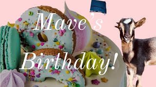 Looked who joined the party, a goat birthday party! #shorts