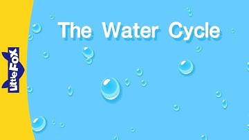 The Water Cycle | Science | Nature | Little Fox | Bedtime Stories