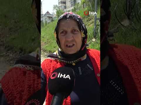 Gümüşhane Şiran Çevrepınar köyü, çekirge istilasından mağdur....