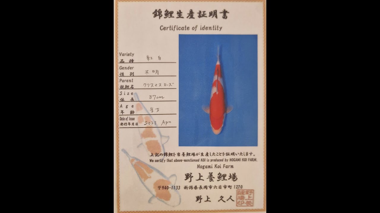 Azukari Challenge Japan 2023