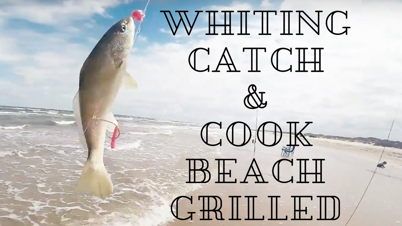 Corpus Christi Surf Fishing. Grilled Whiting Catch and Cook FISHING at PINSi