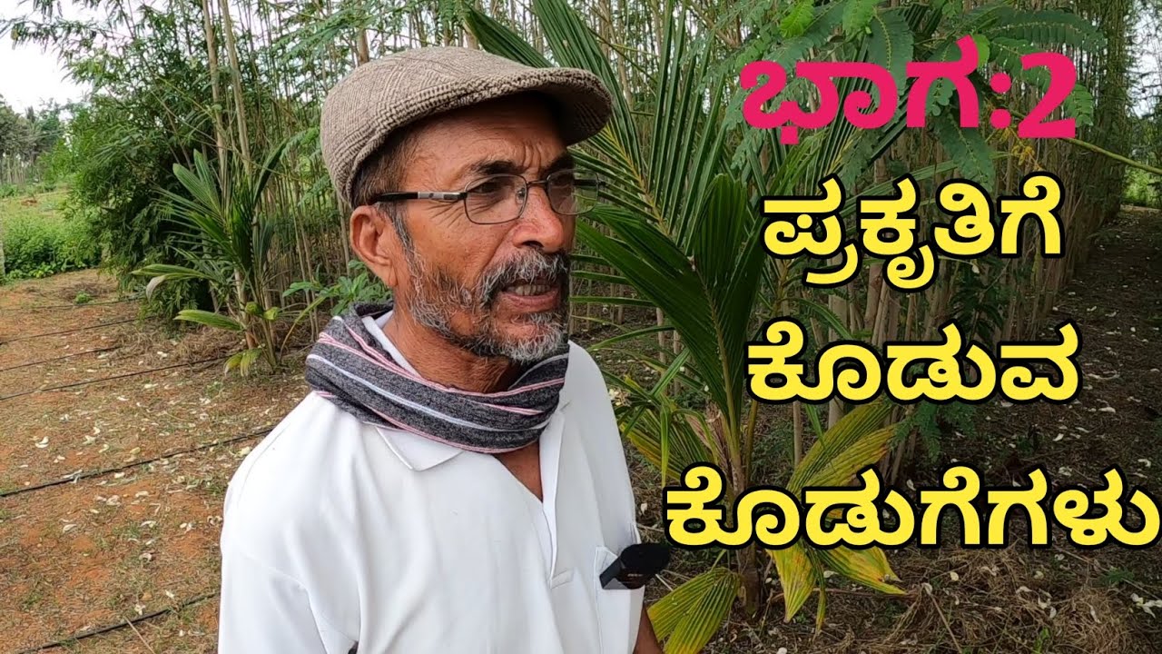 ನಾವು ಪ್ರಕೃತಿಯಲ್ಲಿ ಮಣ್ಣನ್ನು ಶುದ್ಧ ಮಾಡಿ ಹೋದರೆ... ಪಕ್ಷಿಗಳು ಗೂಡು ಕಟ್ಟಿಕೊಳ್ಳಲು ಮರ ಬೆಳೆಸಿ ಹೋದರೆ ಅದೇ ನಾವು..