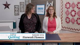 LOQTV 3703 – Firework Flowers