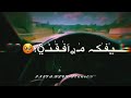 امشي وحيد بدنياي اسولف مثل المجنون امشي وحيد بدنياي اسولف مثل المجنون