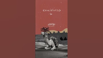 سورة الغاشية - عبدالرحمن مسعد - حالة واتس اب قران كريم Quran