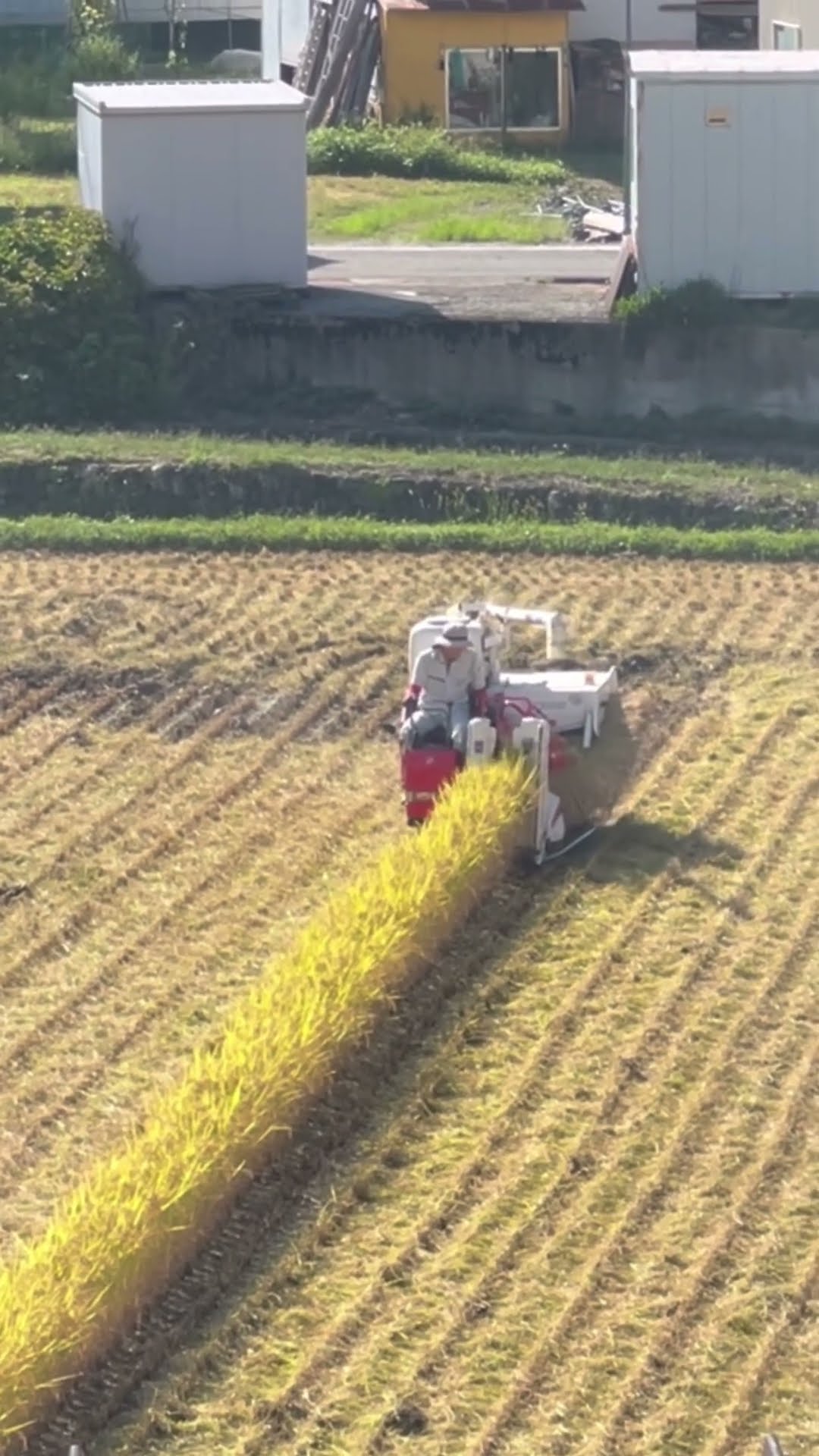 1日午前1時迄 【リピート Malia】TT Lv Ep 15 3点 mahina / DRIP TOKYO - YouTube