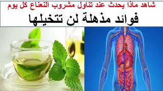 شاهد ماذا يفعل عند تناول مشروب النعناع كل يوم- فوائد النعناع مذهله لن تتخيلها