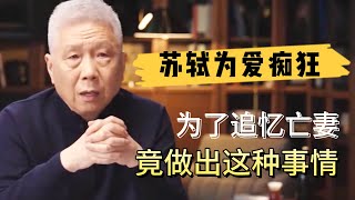 一代文豪蘇軾為愛癡狂為追憶亡妻竟做出來這種事#观复嘟嘟#马未都#圆桌派#窦文涛#对白#武志红#中国#历史