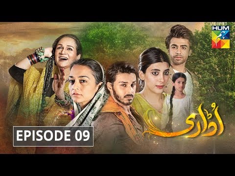 Udaari Episode 9 HUM TV Drama