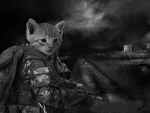 Сталкер кот баюн