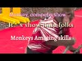 Live streaming of Janet’SVlog #Amazing skills of talented monkey compete Japan