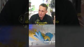 O híbrido que garante um bom plantio de soja no Sul.