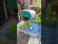 ミラクルゲットの瞬間#クレーンゲーム #ゲームセンター #clawmachine #ufoキャッチャー #japantravel #ポケモン #pokemon #shorts