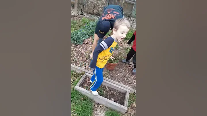 Boys pulling carrots