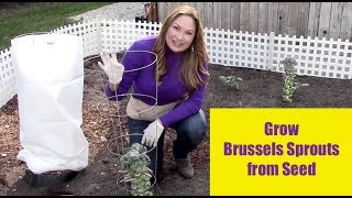 Growing Potatoes in Grow Bags – Southern Gardener