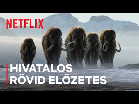 Élet a bolygónkon | Hivatalos rövid előzetes | Netflix